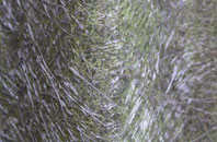 Quarrington fibreglass roof work